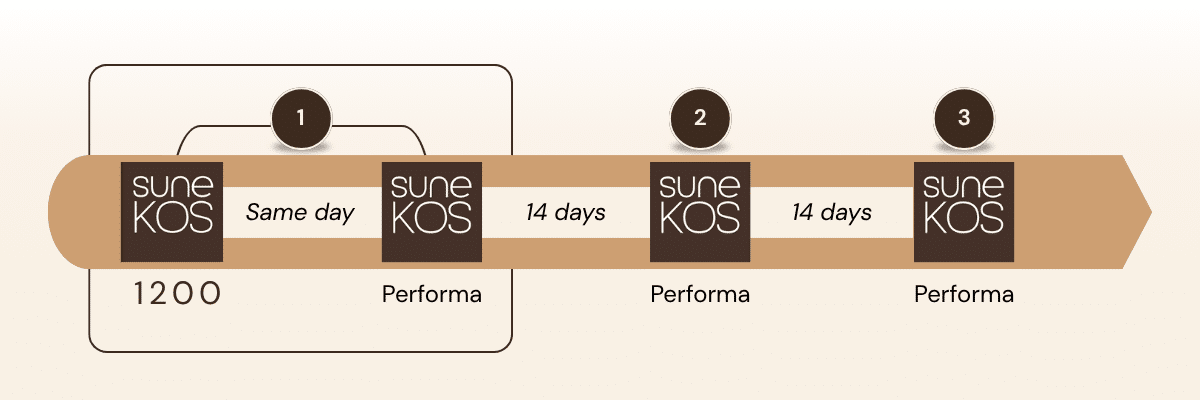 Sunekos treatment timeline graphic showing Sunekos 1200 followed by Performa sessions spaced fourteen days apart